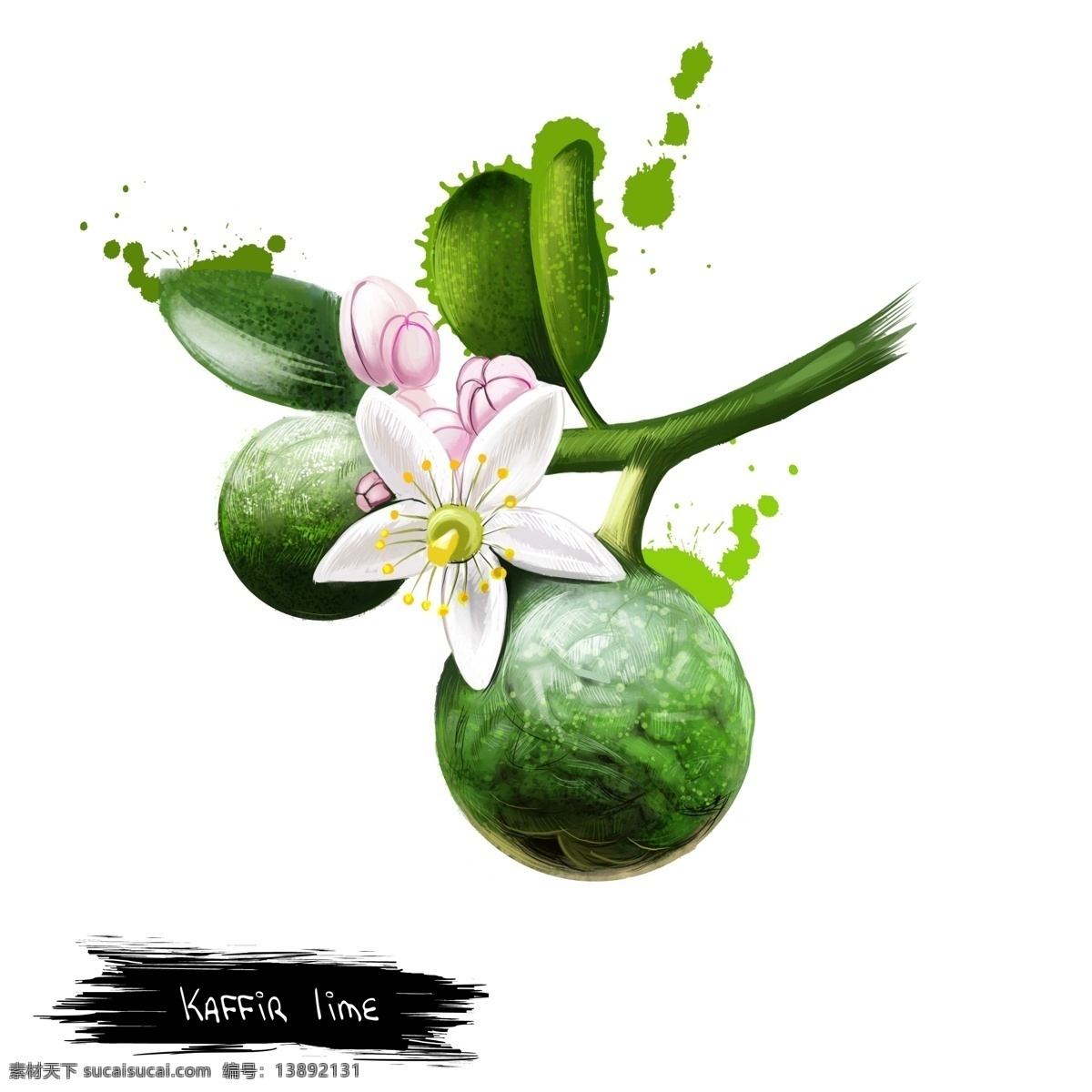 手绘 绿色 蔬菜 瓜果 源文件 花朵 根茎 白色 水彩 装饰图案
