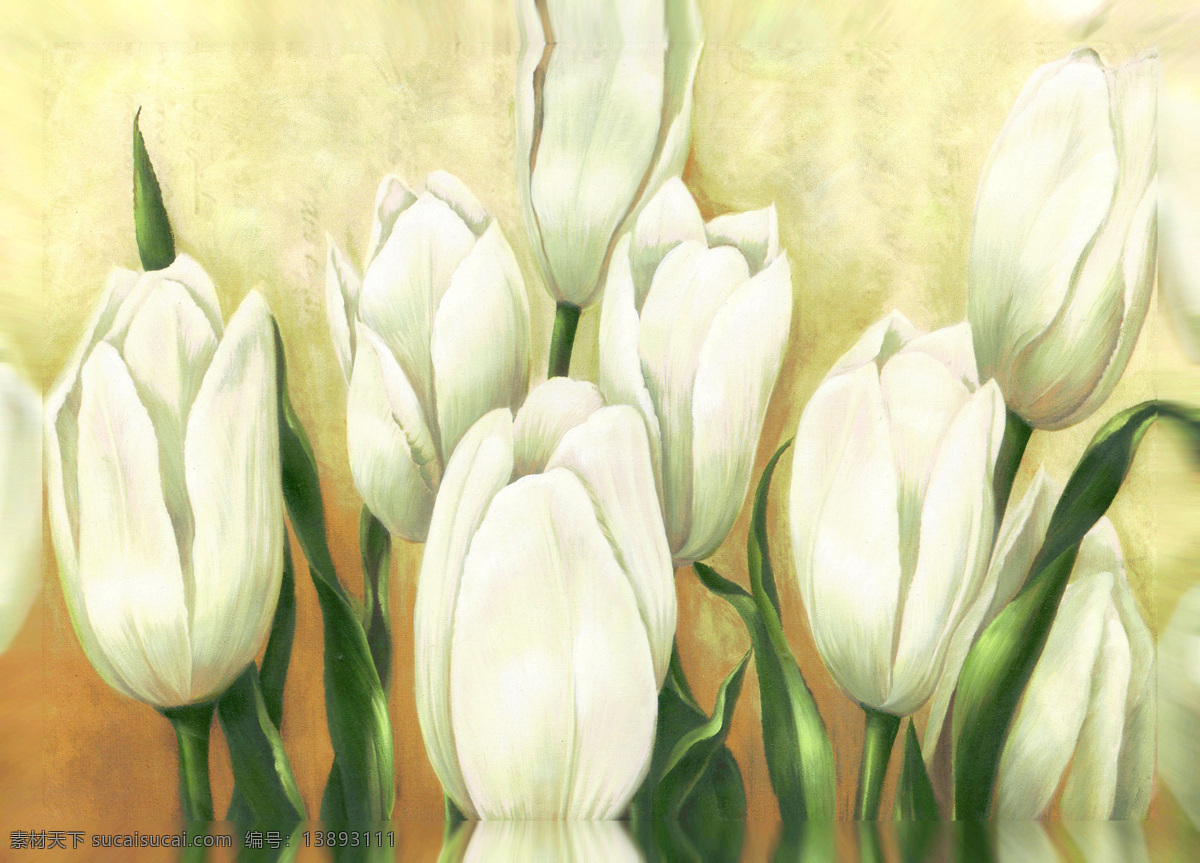 世界名画 油画 写生 毕加索 莫奈 梵高 席勒 抽象画 装饰画 罗纳河畔 向日葵 克里姆特吻 壁画 著名画家 名画书法 文化艺术 美术绘画