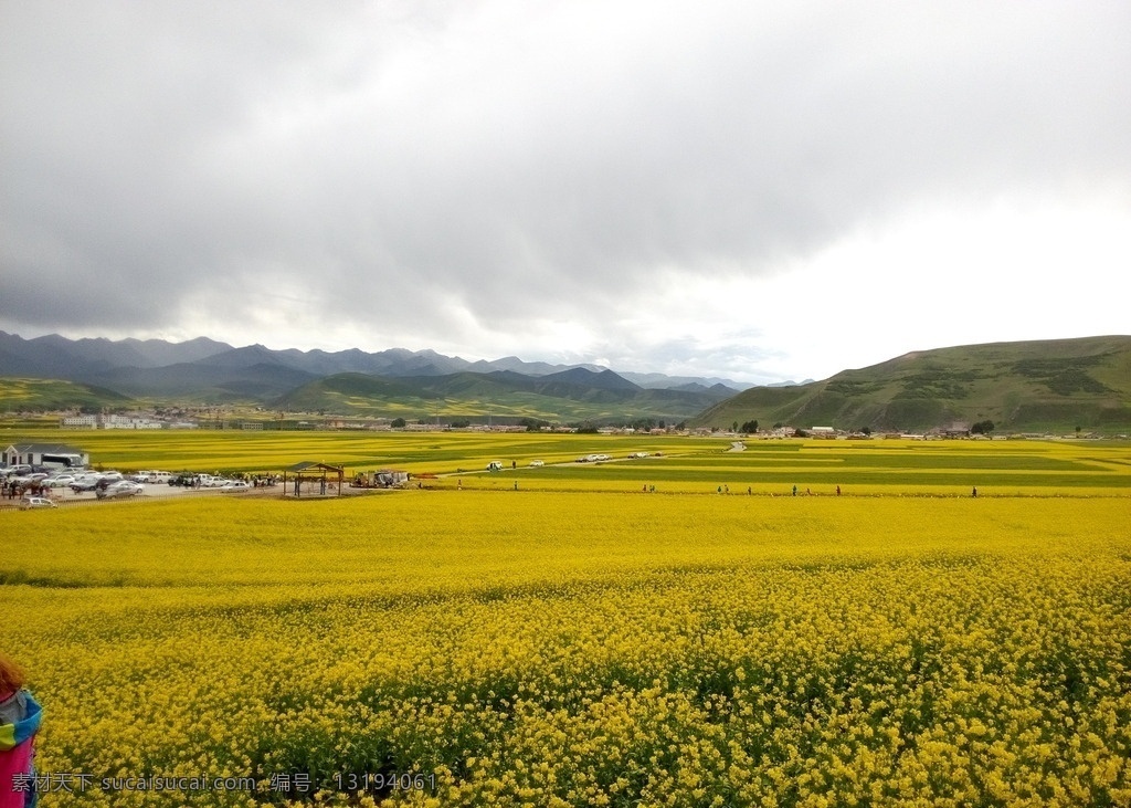 西藏农田 西藏 藏区 藏族地区风光 风景 风光 旅行 自然 西藏自治区 藏族自治区 西藏美景 农田 郊外 蓝天 白云 旅游摄影 国内旅游