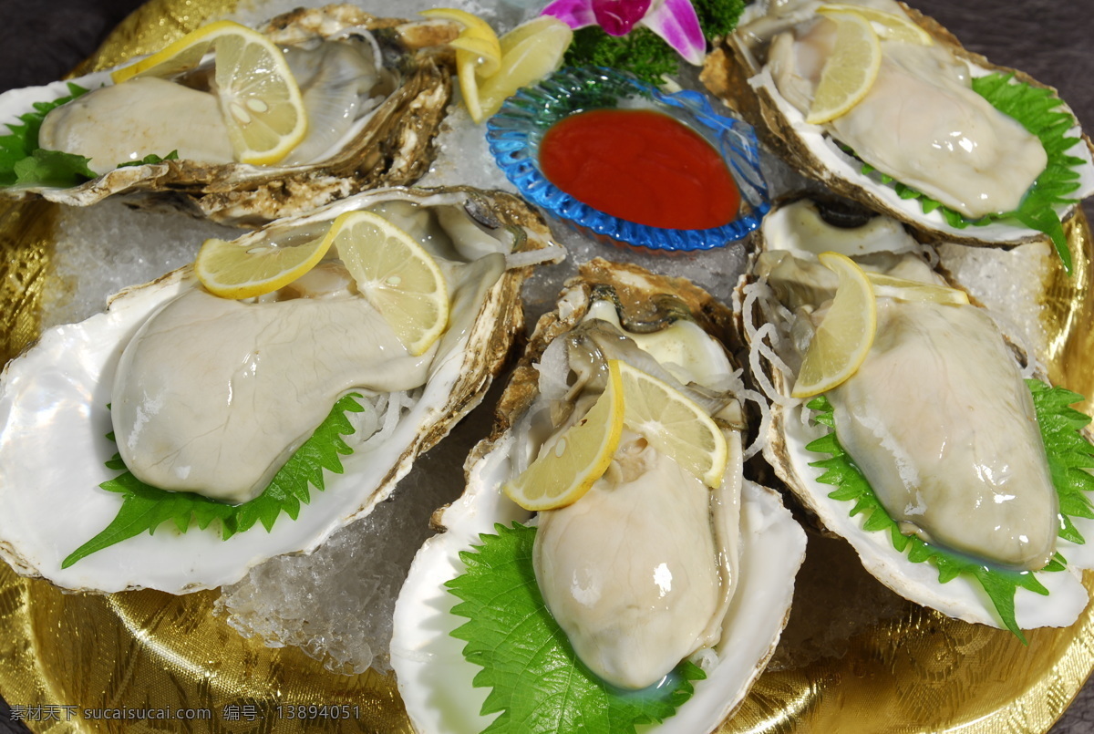 大生蚝 菜品 火锅 姿造 海鲜姿造 菜牌图片 菜谱图片 菜图 凉菜 美食 中餐 中华美食 传统菜肴 蔬菜 开胃菜 川菜 鲁菜 粤菜 碟头 津菜 湘菜 杭帮菜 热菜 面点 海鲜 刺身 苏闽菜 辽菜 创意菜 小料 调料 酱料 家常菜 农家菜 食堂菜 餐饮美食 传统美食