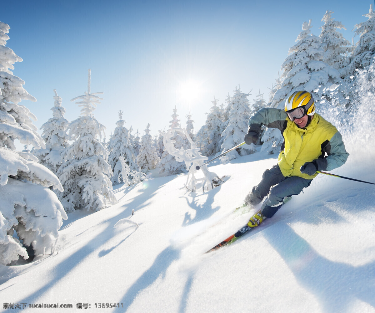 太阳 下滑 雪 黄 衣 人 蓝天 天空 滑雪的黄衣人 雪地 树木 体育运动 滑雪图片 生活百科