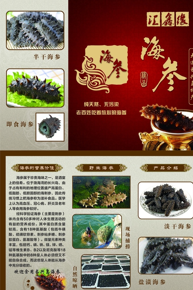 汇鑫 海参 宣传单 海参宣传 半干海参 即食海参 淡干海参 盐渍海参 海参现场捕捞 海参自然晾晒 海参营养价值 野生海参 海参产品介绍 古典底图 古典花纹 红色底图背景 红色花纹 海参矢量图 海参卡通图 海参x展架 海参宣传单 海参展板展架 海参海报画册 古典边框 古典花边花纹 dm宣传单