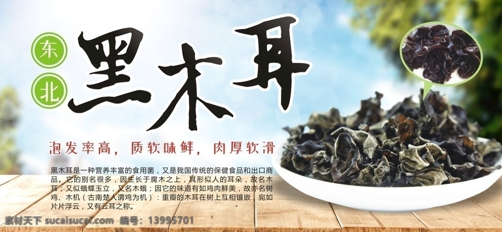 黑木耳海报 黑木耳 东北片耳 云耳 黑木耳展板 木耳海报 黑木耳促销 黑木耳素材 东北黑木耳 黑木耳特价 淘宝黑木耳 banner 黑木耳易拉宝 木耳素材
