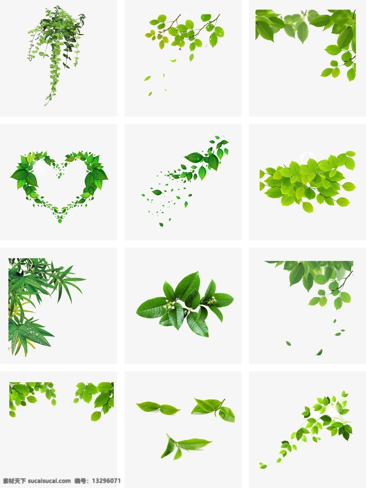 树叶素材 绿叶 青翠绿叶素材 春季 树木 卡通树叶 植物 点缀素材 底纹边框 彩色树叶 矢量树叶 秋叶 金色树叶 红色树叶 树木树叶 各种树叶 叶子 绿色叶子 枫叶 枫叶素材 树枝 花纹花边 一串树叶 绿色树叶 花卉植物 花草 手绘 时尚 梦幻 梦幻树叶 各种叶子 素材类 分层