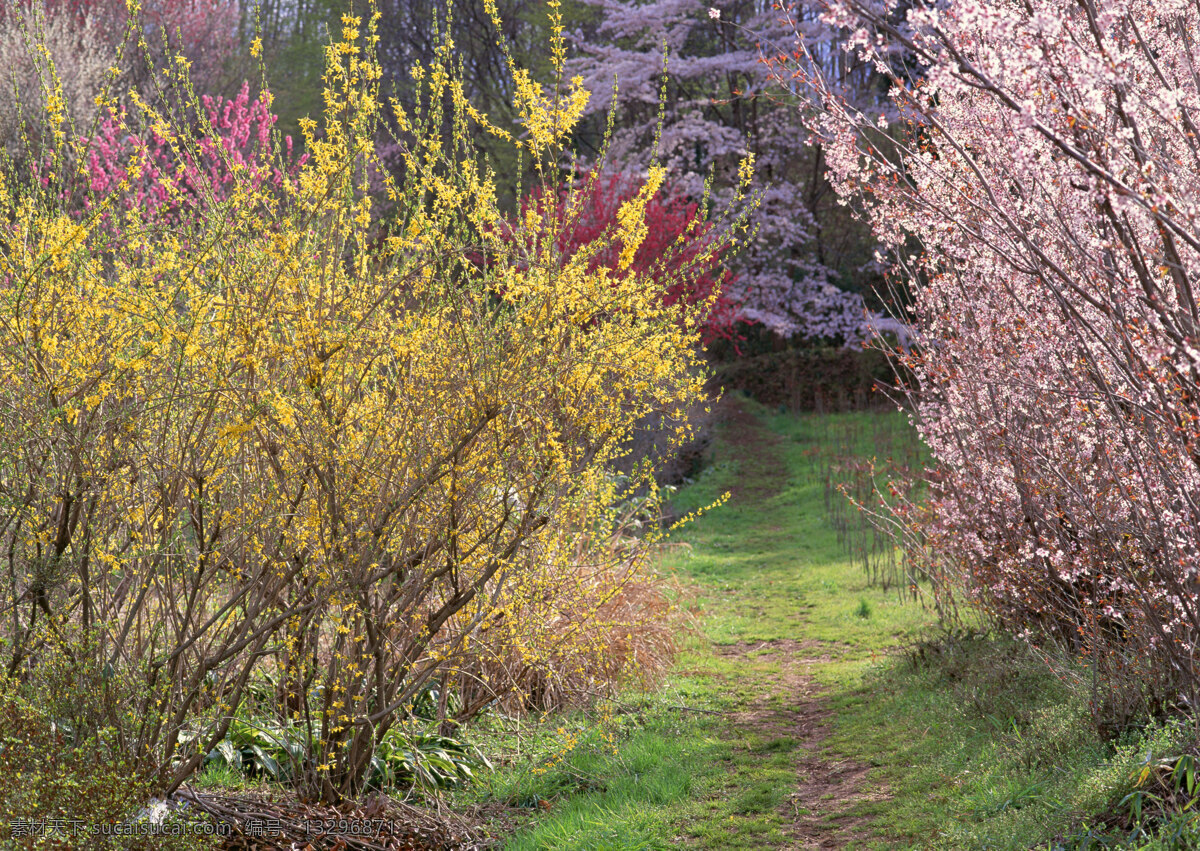 花草 树木 美丽风景 风光 景色 花草树木 果园 自然景观 山水风景 四季风景 风景图片