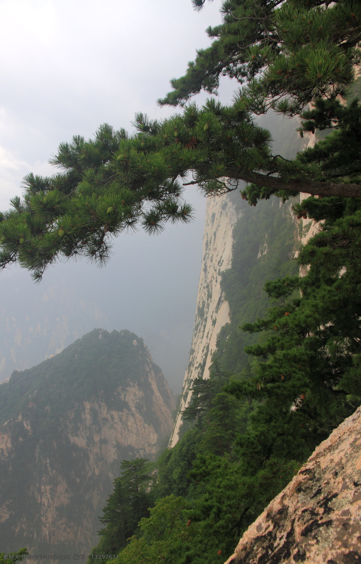 华山风光 华山一角 华山 山崖 华山山景 华山美景 华山风景 华山树丛 树木 大山 石山 山林 华山雪松 华山旅游 华山中峰 华山松树 西岳华山 华山东峰 五岳 赵匡胤 朝阳峰 华山亭子 名山大川 华山标志建筑 陕西旅游 群山起伏 华山地标 华山云海 云雾 云海 高清华山照片 自然景观 风景名胜