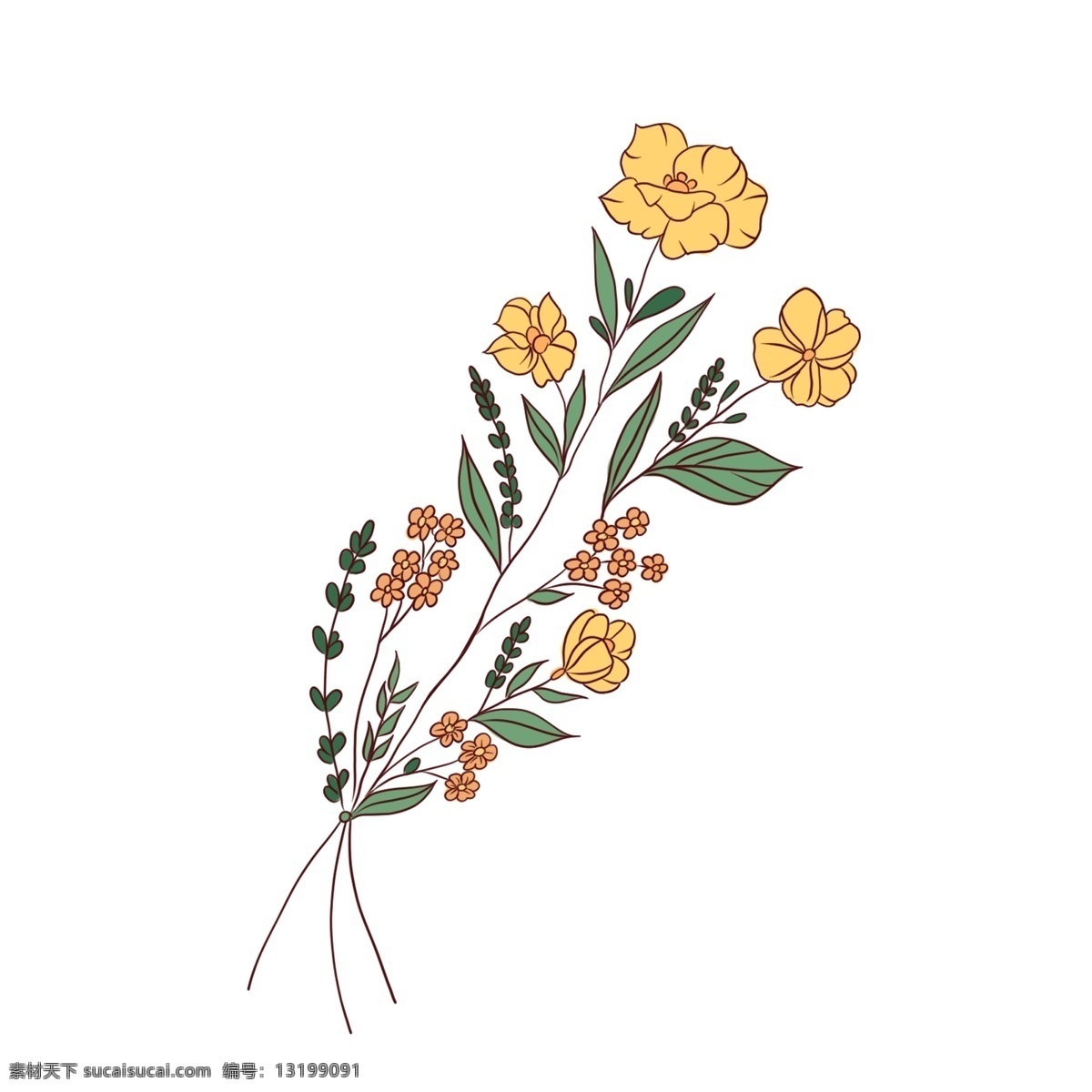 手绘 植物 花草 树木 商用 花草树木 手绘花 手绘卡通 手绘植物 手绘花草 花 卡通花草 简笔画植物