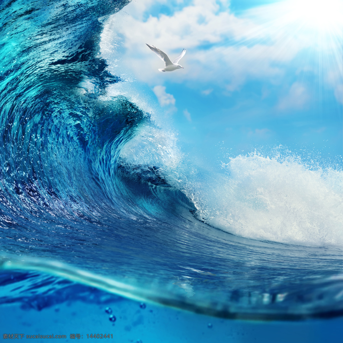 海鸥 海浪 海鸥与海浪 蓝天 白云 天空 大海风景 海洋风景 巨浪 海面风景 海水 波浪 波涛 海洋海边 大海图片 风景图片