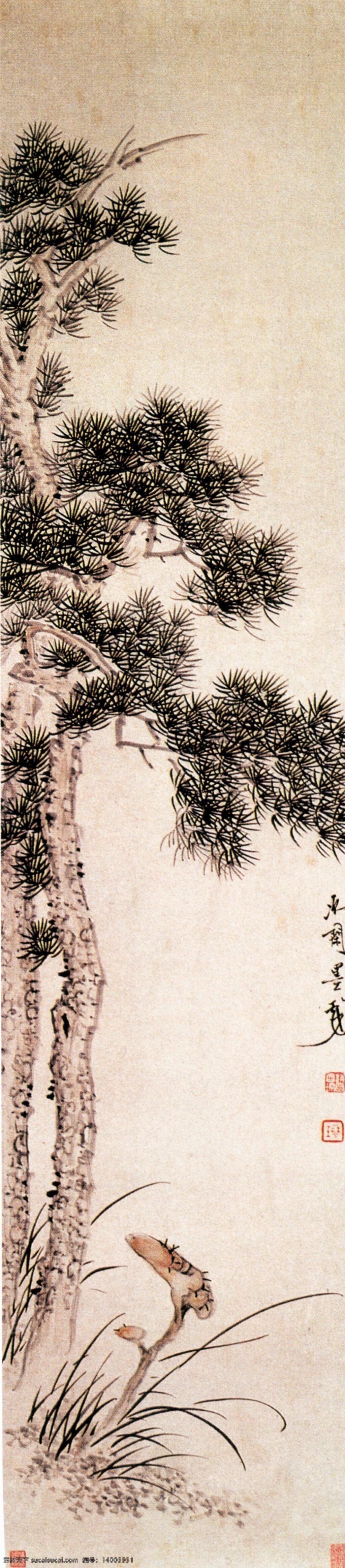 不 老松 工笔 国画 花鸟 名画 水墨 松树 写意 中国画 不老松 中华传世国画 文化艺术