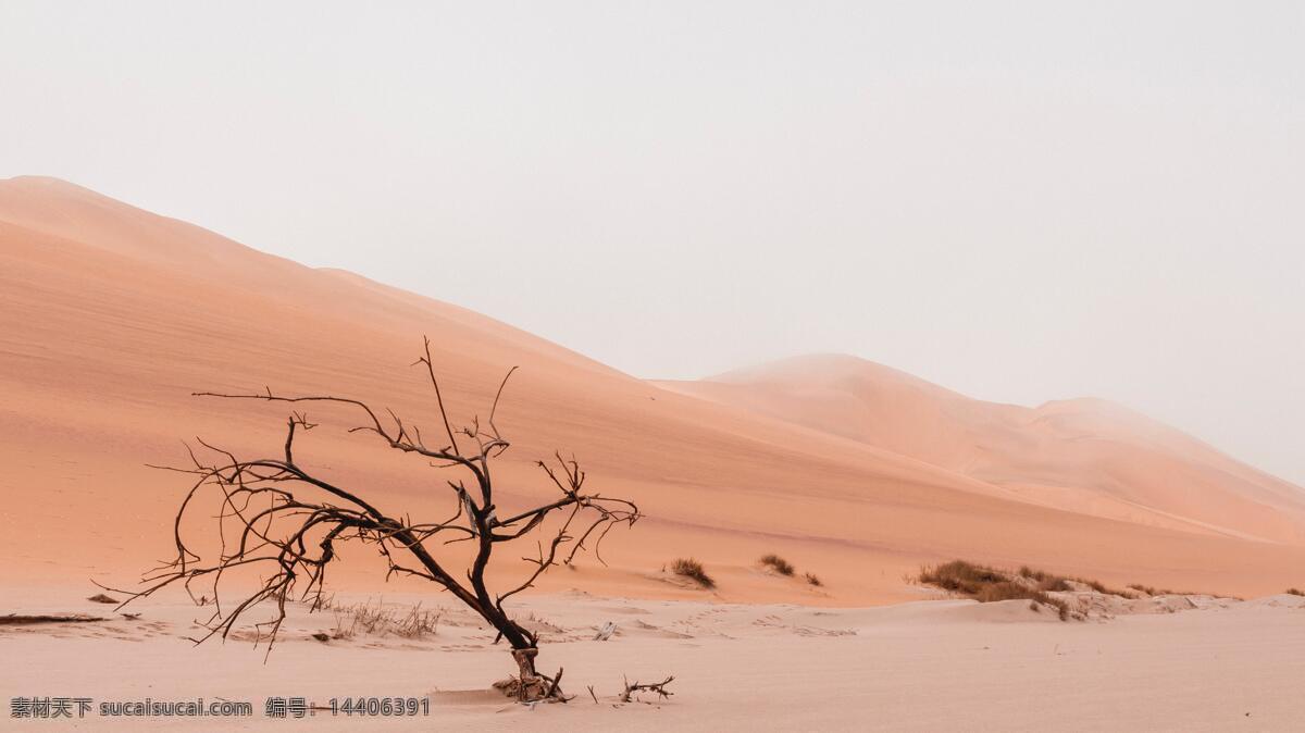 沙漠景观 沙漠 沙丘 沙山 沙子 自然景观 自然风景