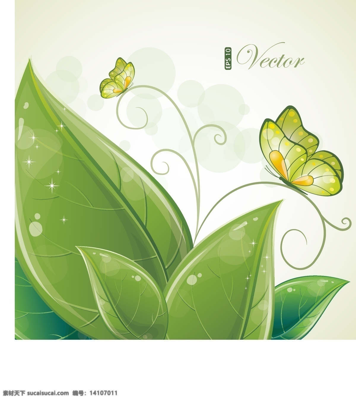 蝴蝶 绿叶 绿色 水晶 叶子 矢量图 花纹花边