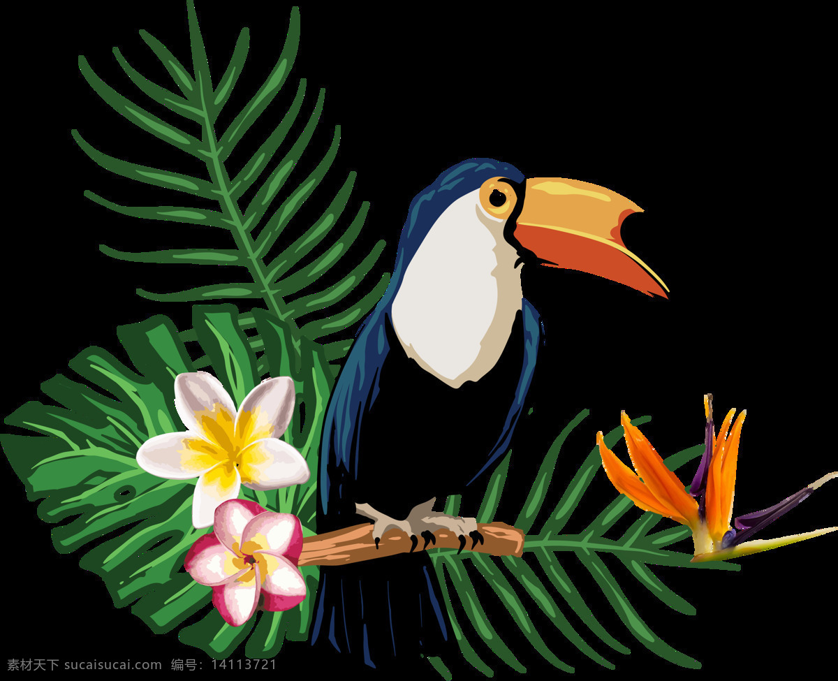 热带 植物 动物 透明 装饰 设计素材 背景素材