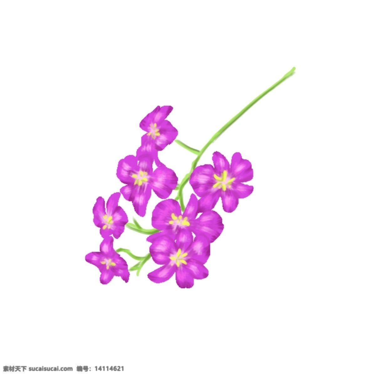 手绘 支 紫罗兰 免 扣 商用 花 紫色 背景花 免扣花素材 治愈花朵