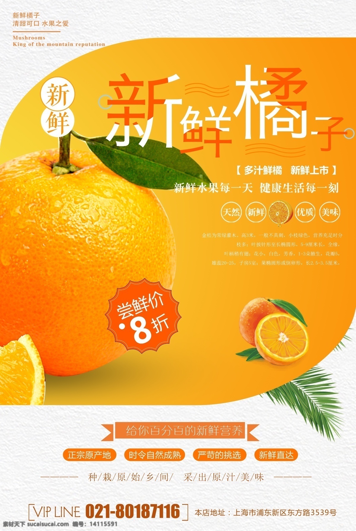 促销 折扣 新鲜 新鲜橘子 橘子水果 水果促销海报 秋冬 特惠 美味 橘子 水果 海报