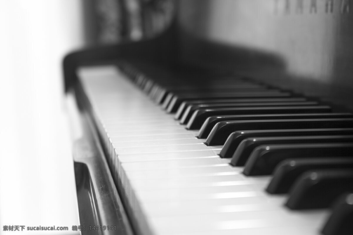 钢琴黑白琴键 钢琴亲姐 黑白琴键 钢琴 黑白 琴键 西洋乐器 乐器 乐器之王 生活百科 生活素材