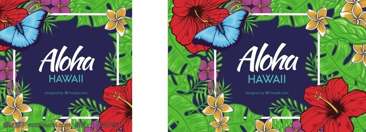 现实 aloha 背景 花卉 夏季 花卉背景 蝴蝶 树叶 五颜六色 热带 丰富多彩 树木 棕榈 夏威夷 季节 热带花卉 背景色 背景花