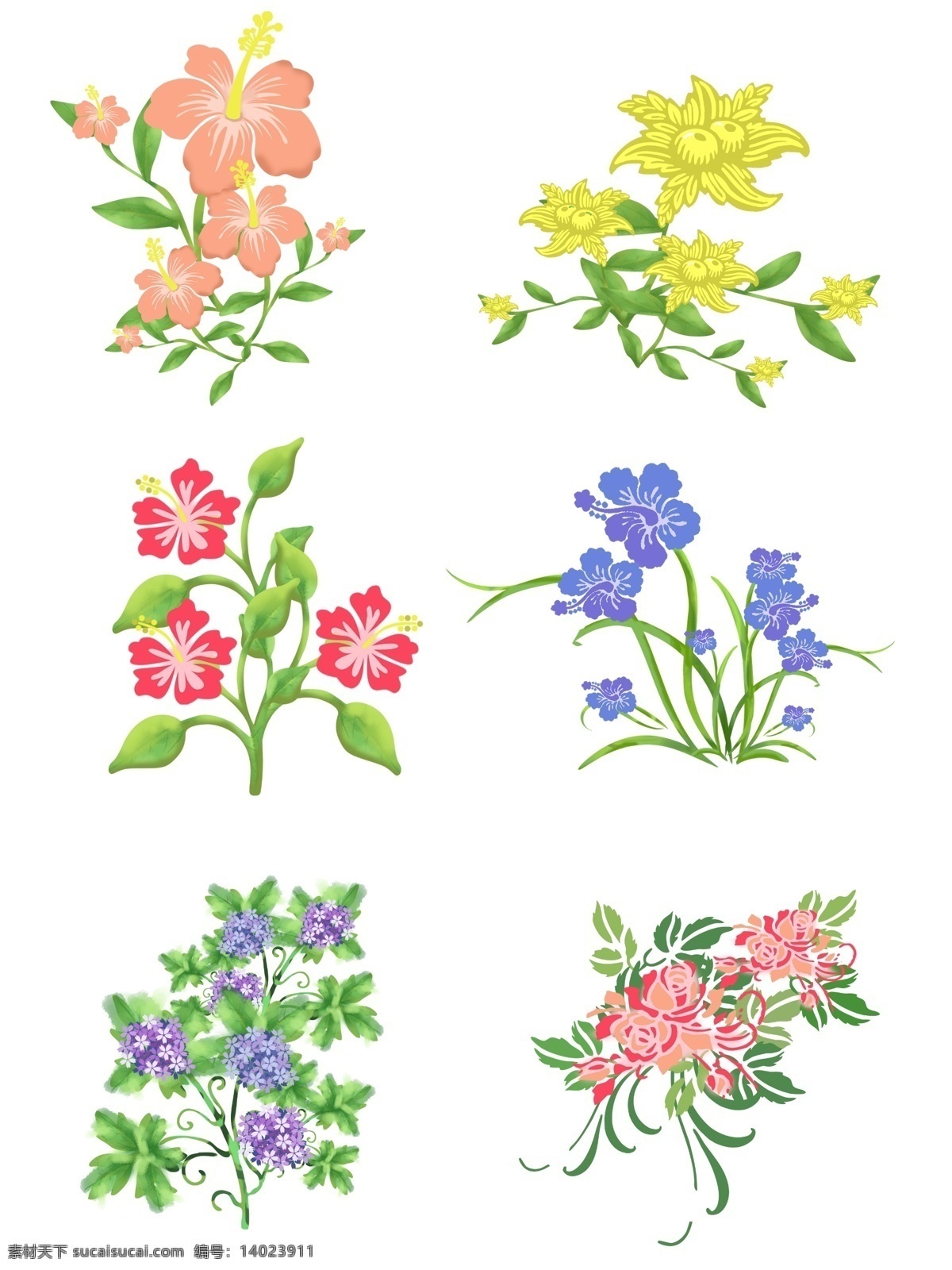 手绘 植物 花卉 元素 花 配图