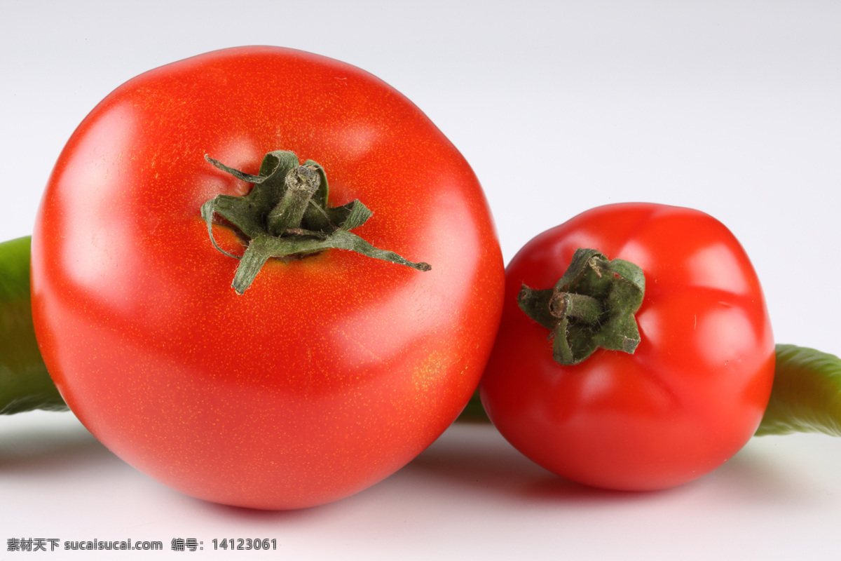 绿色蔬菜 生物世界 蔬菜 西红柿 新鲜蔬菜 新鲜西红柿 西红柿特写 健康蔬菜 高清蔬菜 蔬菜主题 风景 生活 旅游餐饮