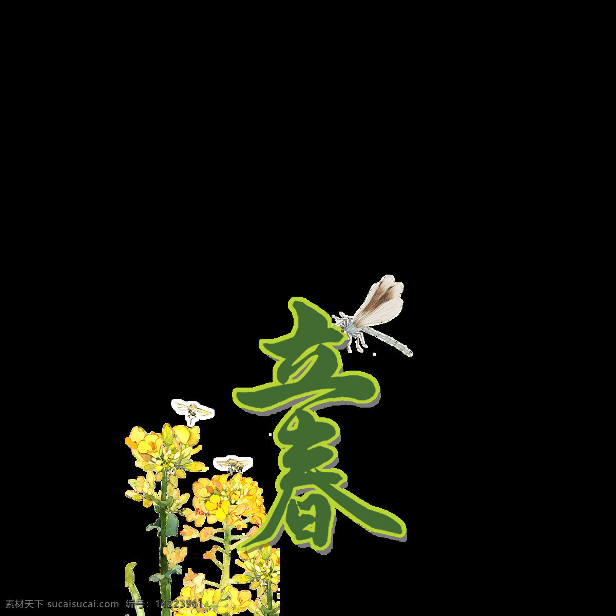 二十四节气 立春 艺术 字 扁平 蜻蜓 手绘 艺术字 油菜花