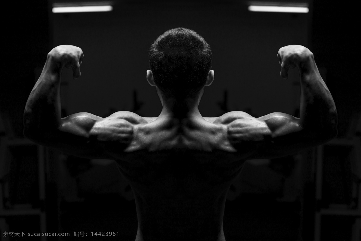 强壮 背部 肌肉 强壮男人 肌肉男 健美身材 健身 猛男 强壮肌肉 男性 背部肌肉 男人图片 人物图片