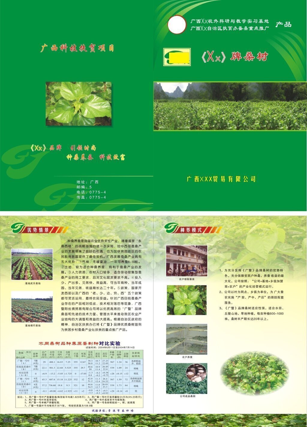 桑树宣传册 蚕种 桑树 桑树宣传单 绿色封面 桑树宣传封面