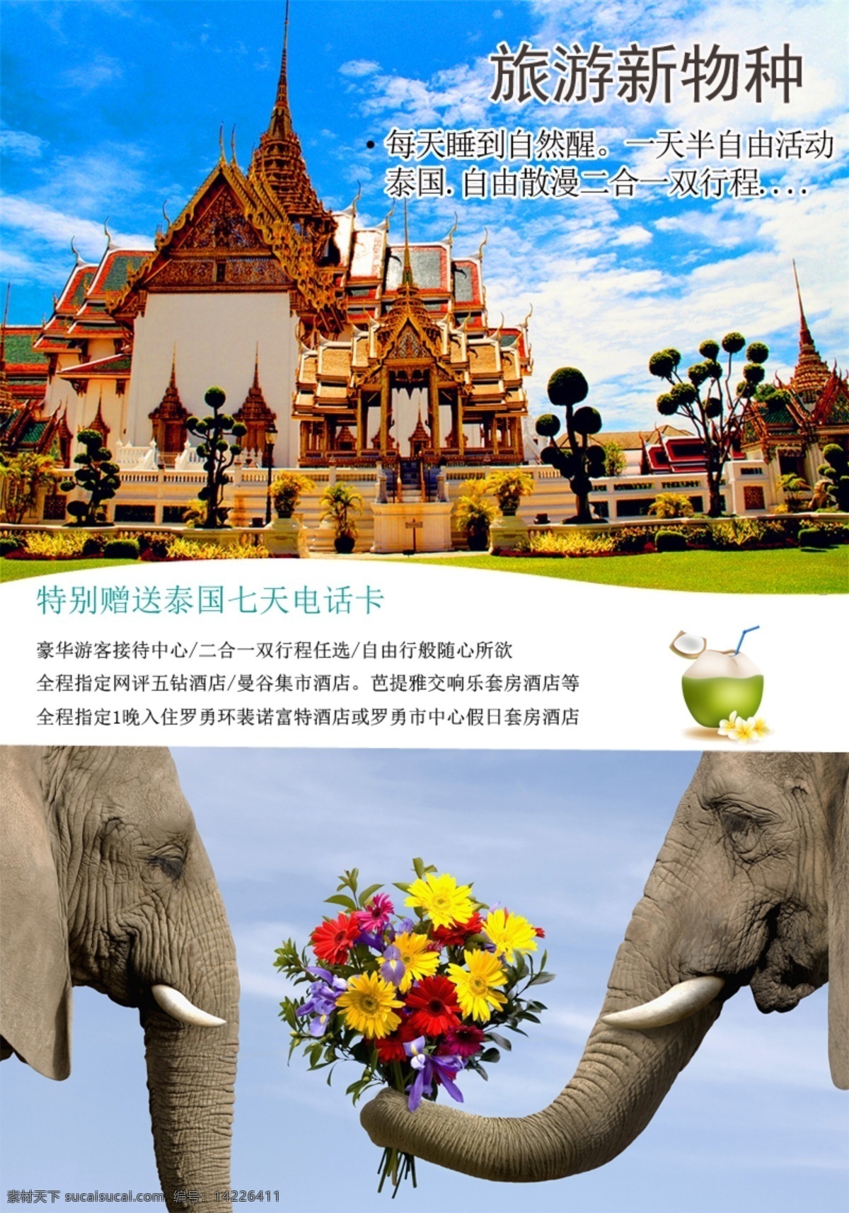 泰国图 泰国 曼谷 旅游 大象