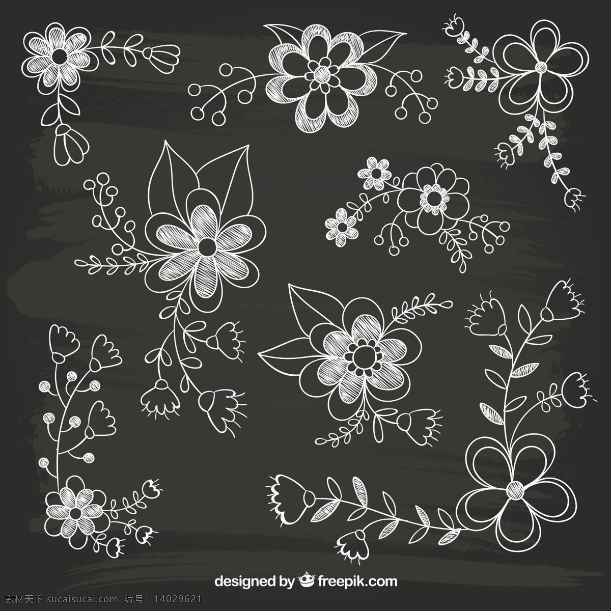 手绘花卉 手绘 白描 花朵 花卉 线稿 矢量图 平面素材