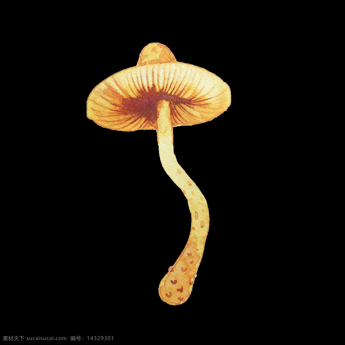 秋 黄 金针菇 卡通 透明 蘑菇 真菌 透明素材 免扣素材 装饰图案