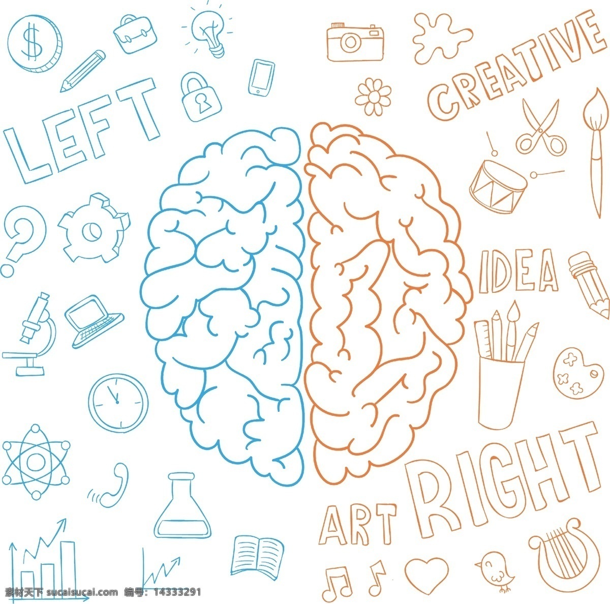 左右大脑 大脑 左脑 右脑 智力 智商 营养 发育 脑部 智力发育 智商高 底纹 底图 背景 满版素材 平面设计 logo 小图片 矢量图 头部 人类