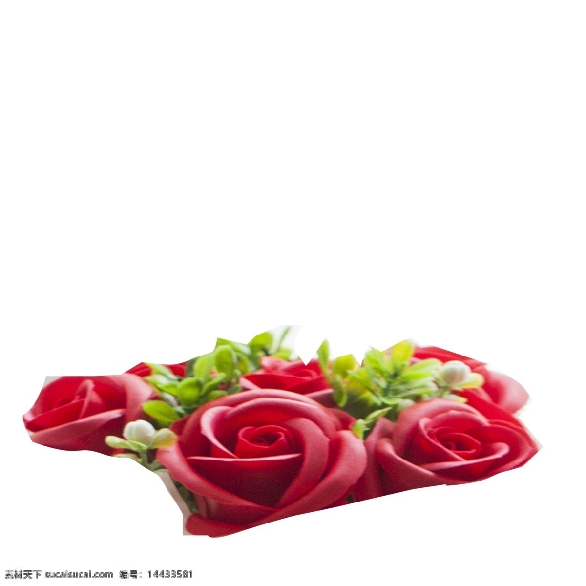 红色 玫瑰 花朵 免 抠 图 玫瑰花朵 绿叶子 时尚礼盒 漂亮的花朵 情人节 礼物 时尚花艺 红色的花朵 免抠图