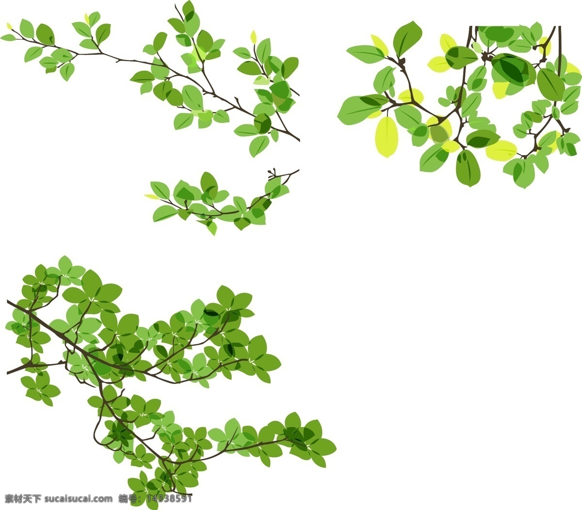 清新 绿叶 插画 春天 模板 设计稿 树枝 素材元素 植物 源文件 矢量图
