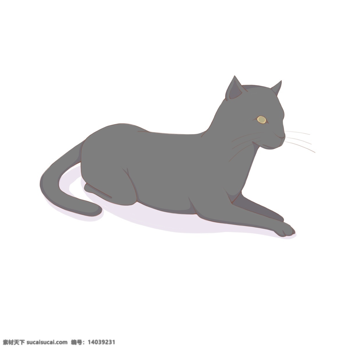 手绘 动物 生物 黑猫 商用 小猫