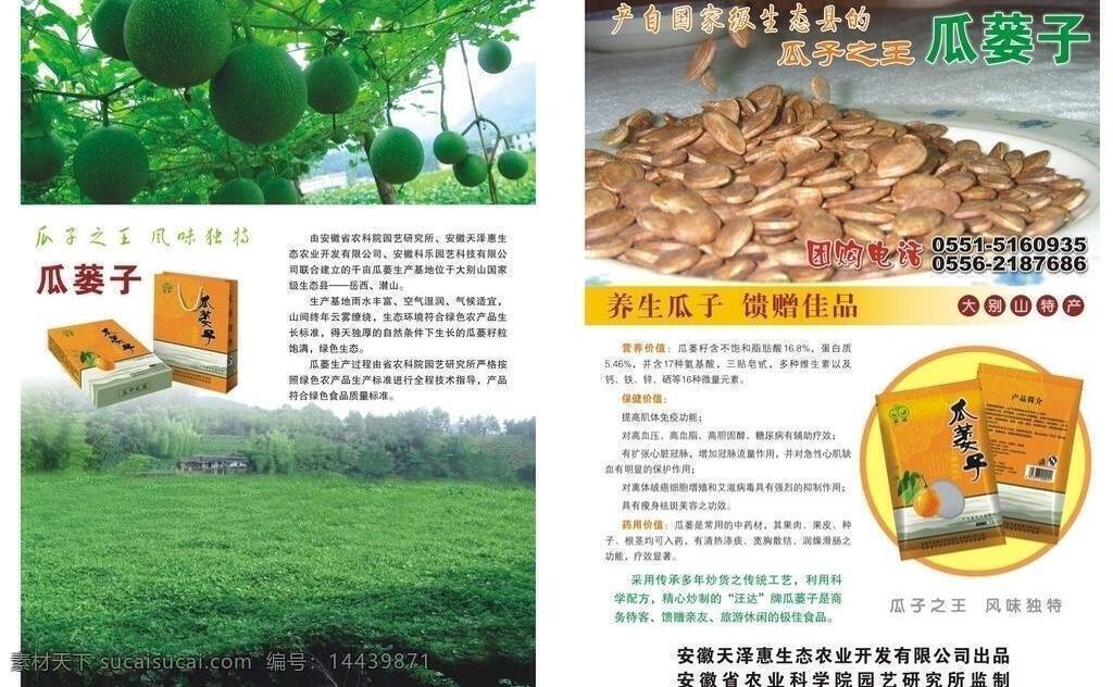 dm广告 dm宣传单 产品宣传单 单页 瓜子 礼品 零食 生态农业 瓜蒌子宣传单 养生瓜子 瓜蒌 大别山 农业开发 园艺所 食品 矢量 矢量图 日常生活