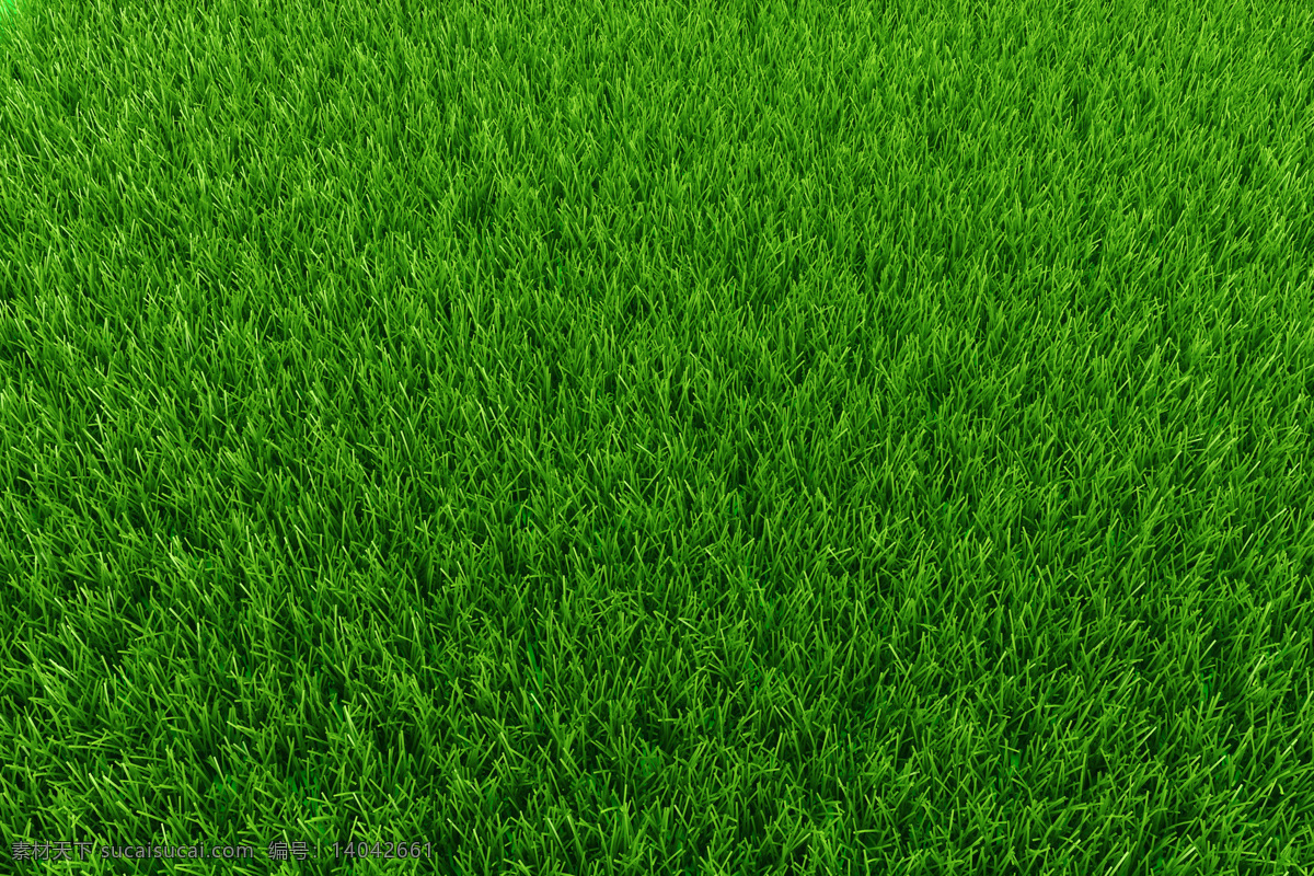 绿色 草坪 小草 背景图片 植物 自然 植物花草 路边 小花 路边小草 绿草地 绿色草地 自然景观 自然风景