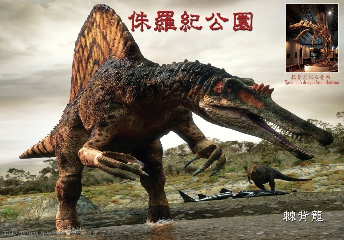 侏罗纪棘背龙 棘背龙 霸王龙 恐龙 远古生物 远古巨兽 巨兽 侏罗纪 侏罗纪公园 侏罗纪世界 恐龙世界 食肉恐龙 兽脚恐龙 棘龙 野生动物 展板写真 生物世界