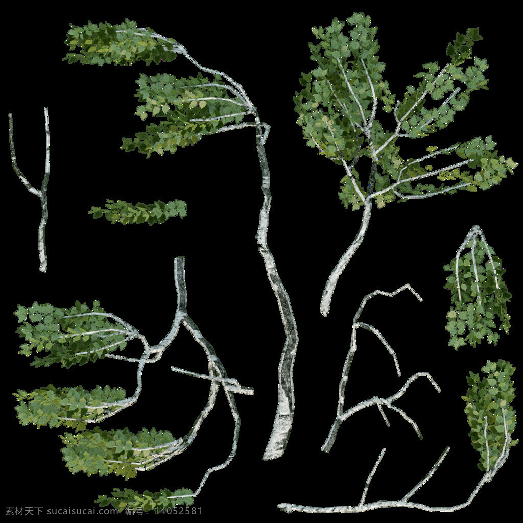 3d 3d设计模型 max 模型 室外模型 树木 源文件 植物 资料 模板下载 树木植物模型 3d模型素材 其他3d模型