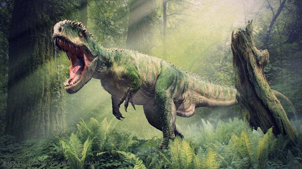 恐龙 时代 霸气 丛林 背景图片