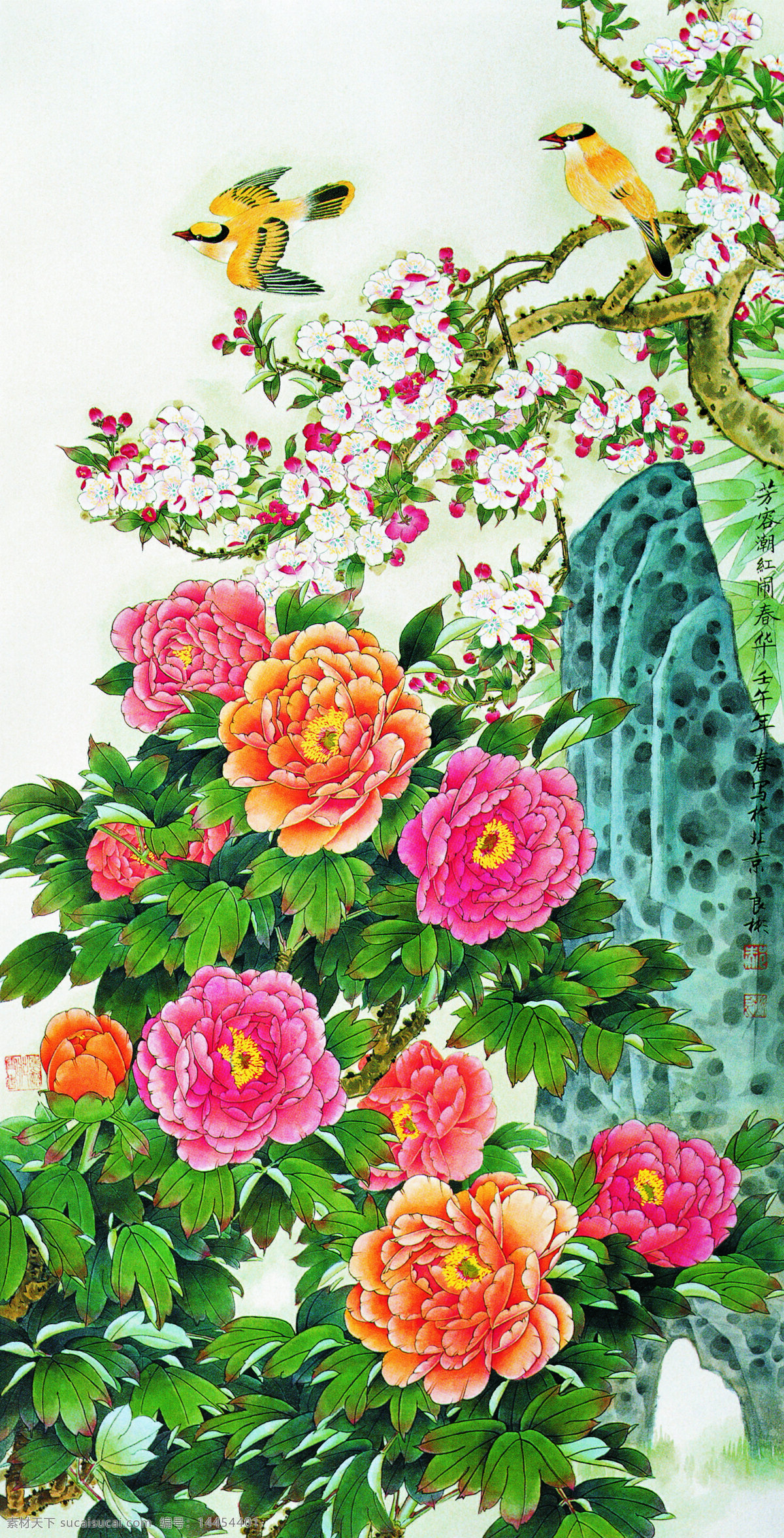 牡丹 中国文化 花鸟 国画 文化艺术 绘画书法 设计图库 联邦设计