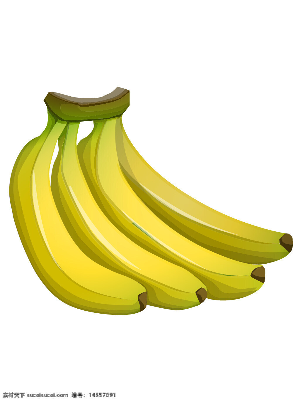 香蕉 芭蕉 水果 瓜果 食物 手绘水果 矢量水果 手绘素材 矢量素材 新鲜水果 植物
