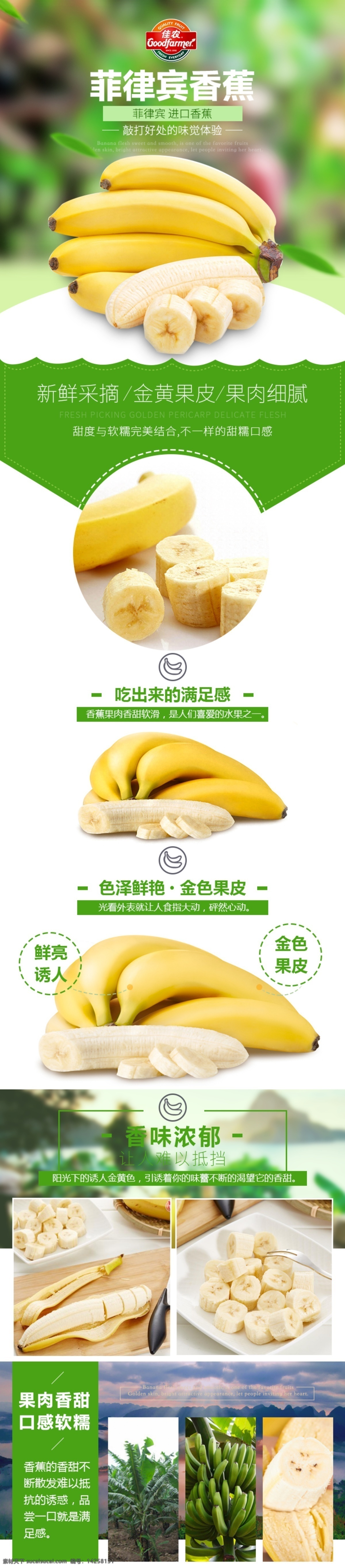菲律宾 香蕉 美食 淘宝 电商 详情 页 新鲜 采摘 水果 口感软糯 绿色 健康