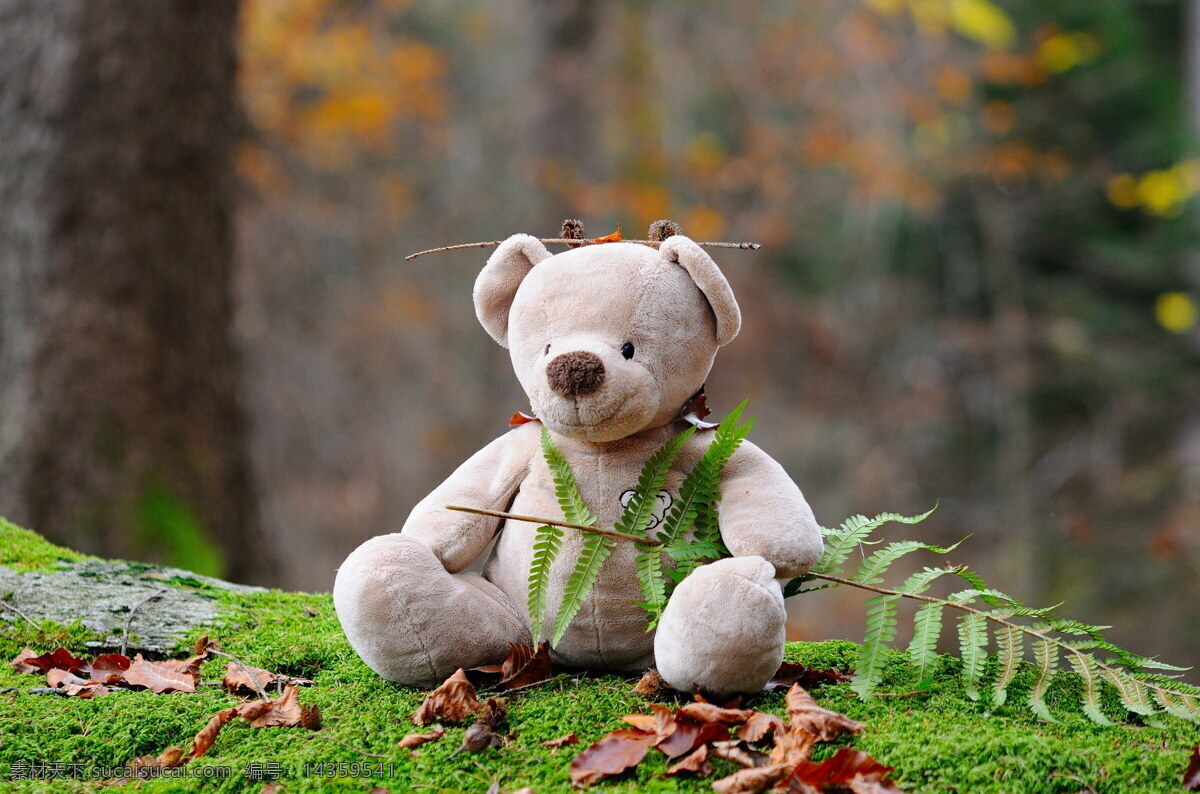 可爱 泰迪 熊 玩具 高清 草地 树林 树木 树叶 毛绒玩具