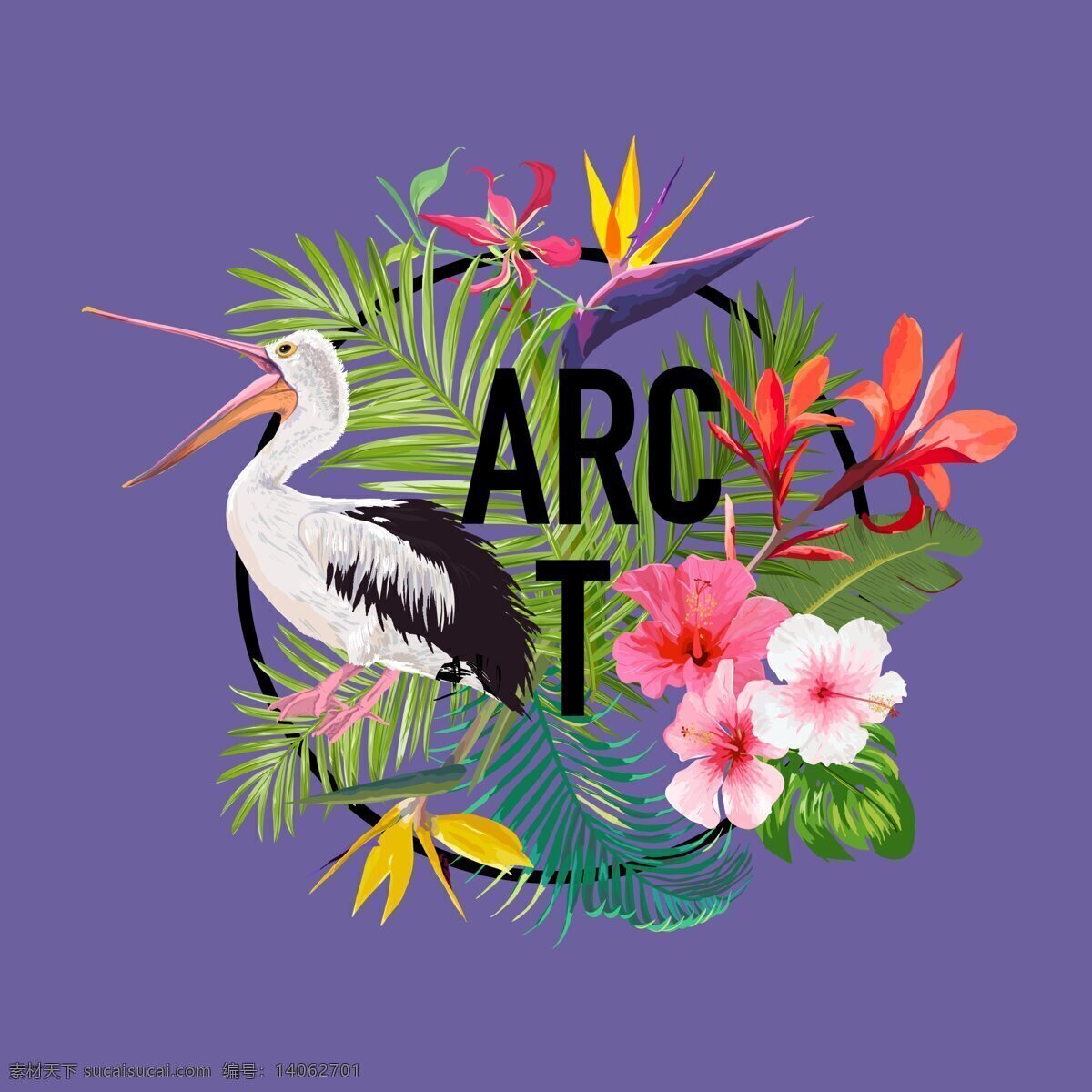 花儿与鸟儿 花朵 鸟 流行紫色 t恤印花 字母印花 生物世界 野生动物