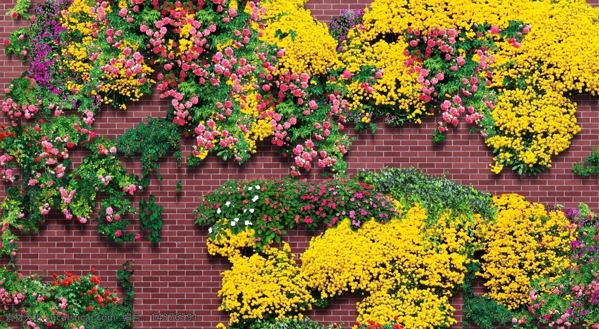 花墙 花 墙 红砖墙 围墙 花卉 花团锦簇 黄花 红花 粉花 爬山虎 围挡 植被 蔓藤 繁花 春天 盛开 地产围挡 自然景观 建筑园林