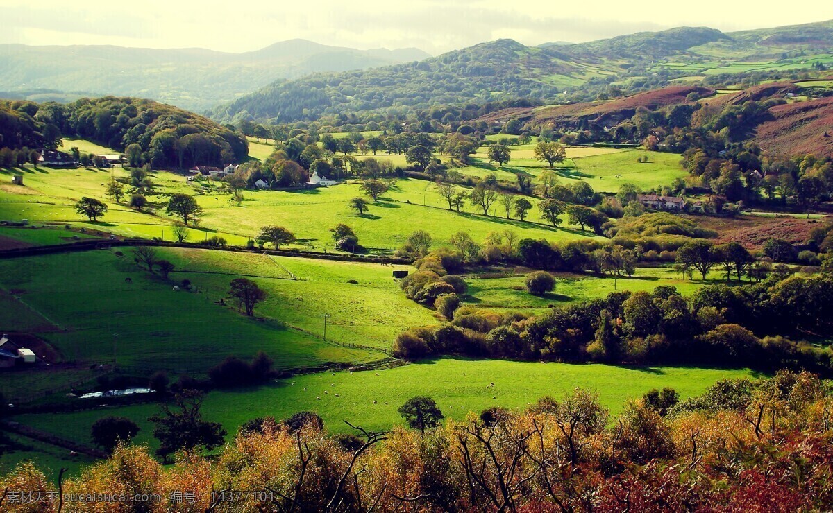 农庄 庄园 农场 牧场 自然景观 自然风景