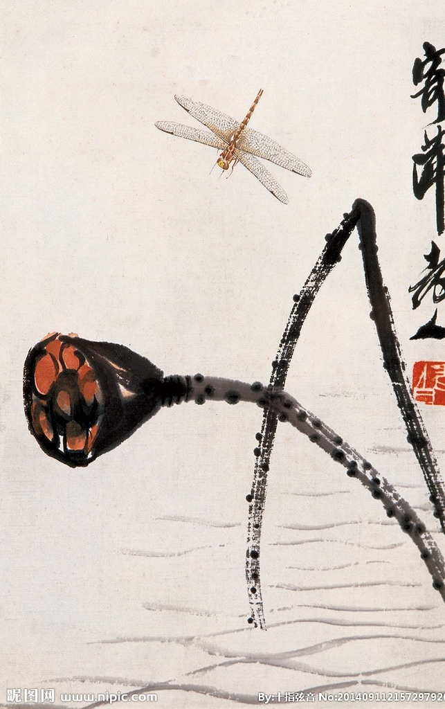 荷花蜻蜓 国画 齐白石 蜻蜓 莲蓬 荷花 荷韵 红荷 绘画书法 文化艺术 花卉 草虫