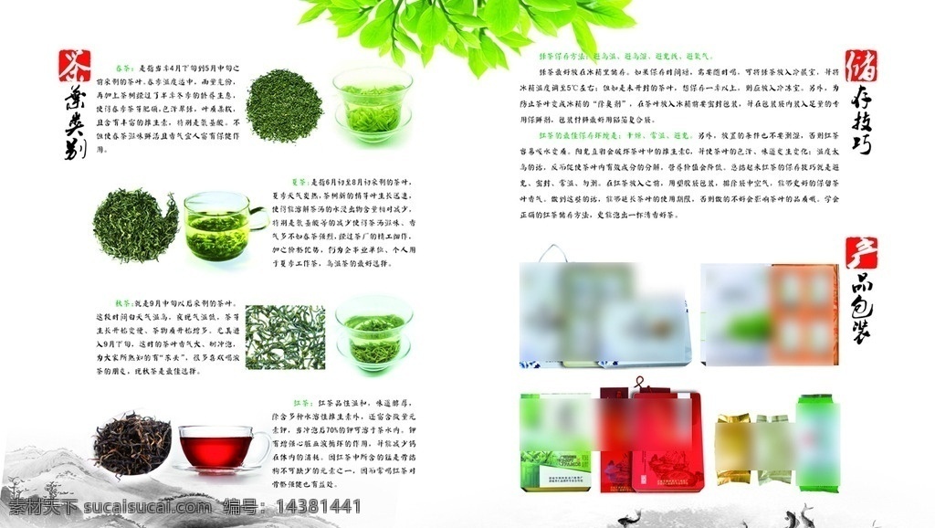 绿茶 画册 内页 茶叶 内容 介绍 绿色 宣传 彩页