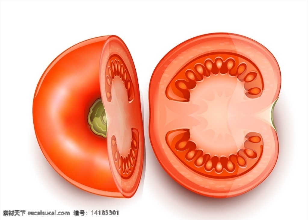 切开 番茄 矢量 西红柿 蔬菜 水果 番茄特写 超写实 食物 食材 文化艺术 绘画书法