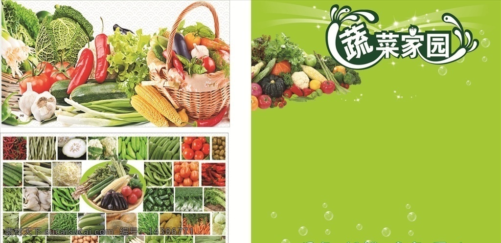 蔬菜家园 超市海报 绿色食品 新鲜健康 玉米 辣椒