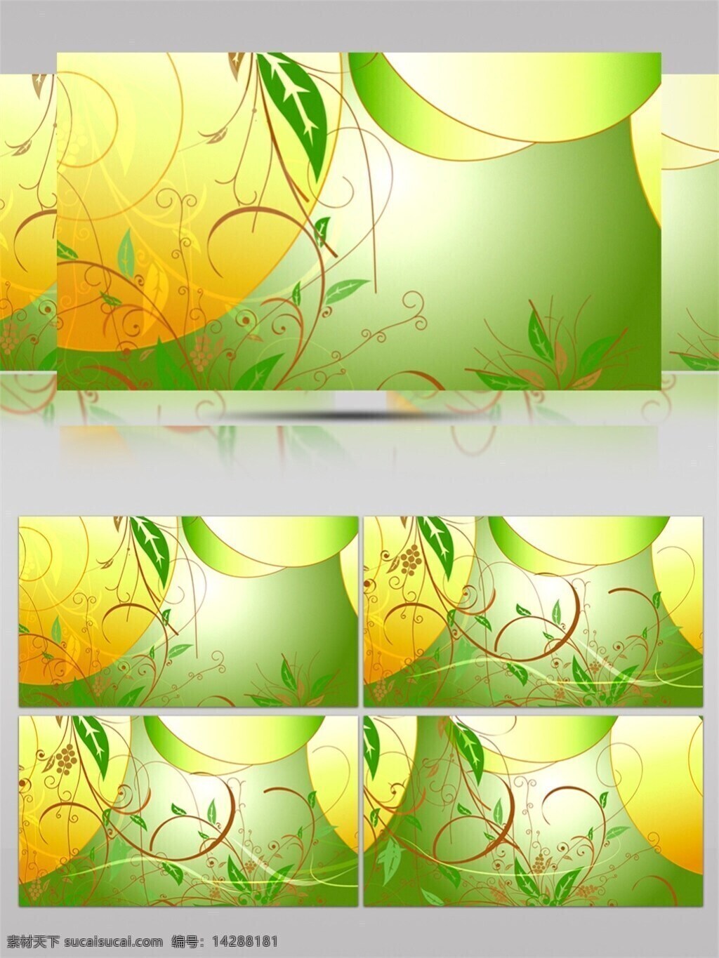 树苗 花 藤 高清 视频 唯美植物 小清新壁纸 装饰风格 动态展示 开绿色植物 植物图画