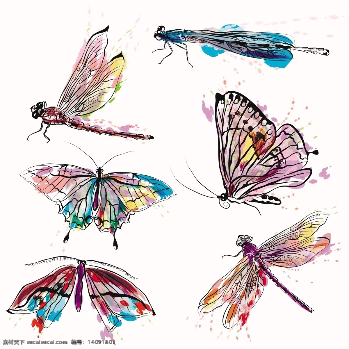 手绘昆虫集 手 蝴蝶 油漆 颜色 手工画 蜻蜓 收集 集 昆虫 彩色 彩绘